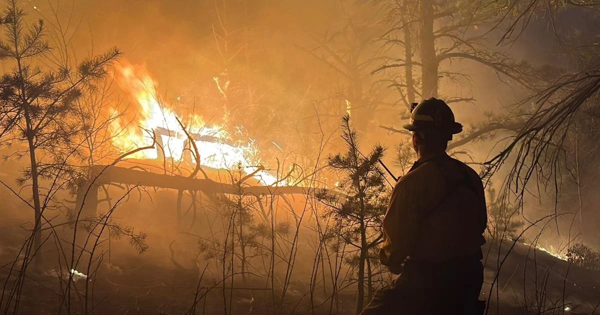 Wildfire