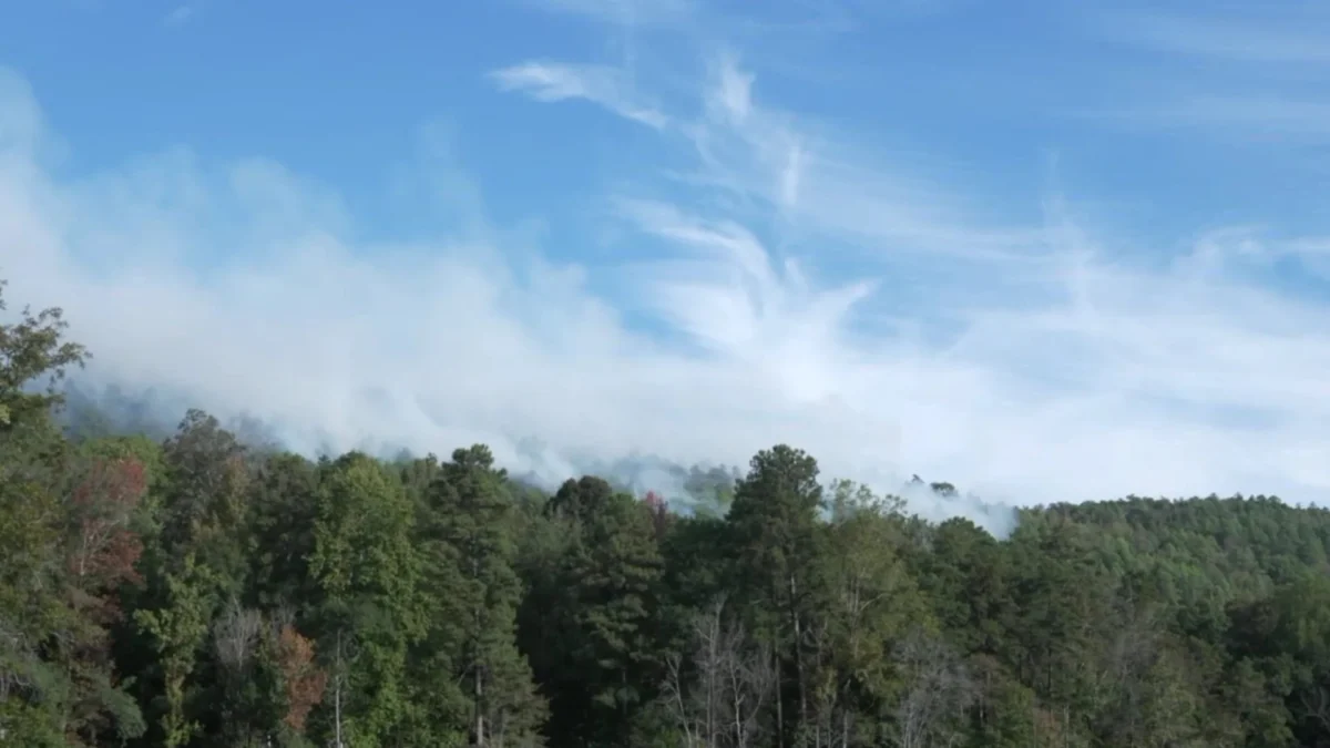 Wildfire