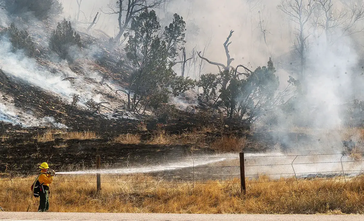 Wildfire